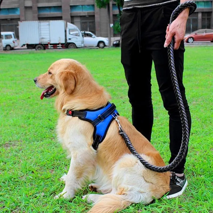 Adjustable Chest Strap For Dogs Size M Black