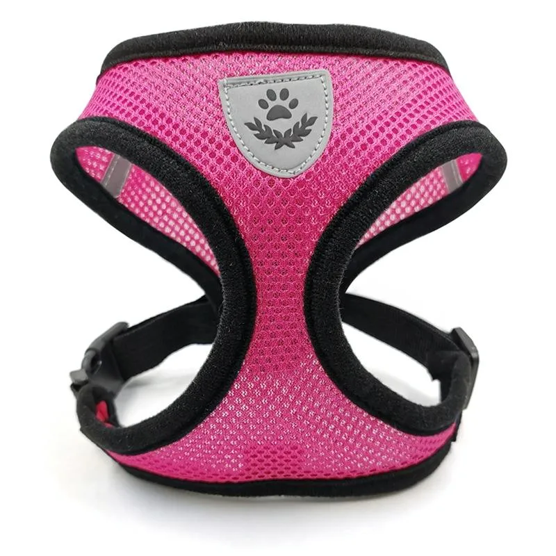 Breathable Dog Walking Vest For Small / Medium Pets Size M