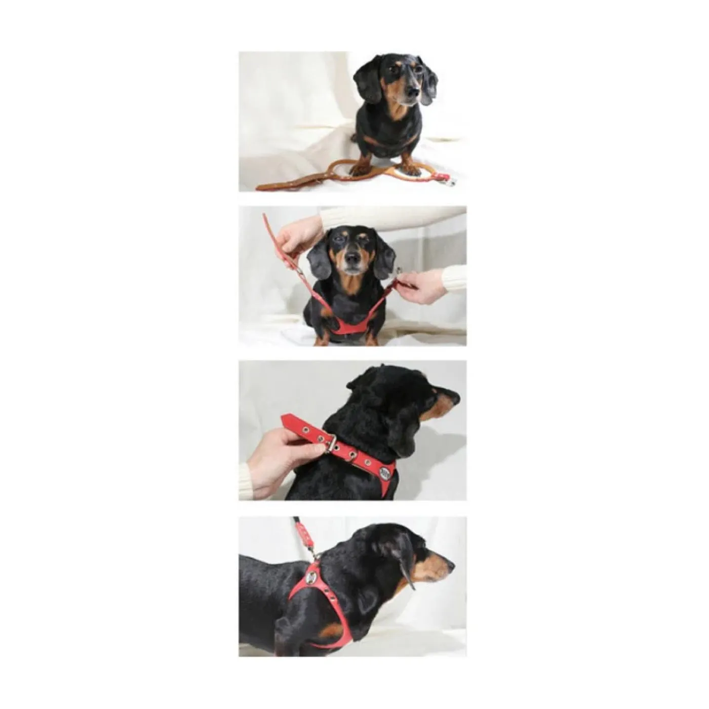 Buddy Belt Premium All Leather Harness Pink