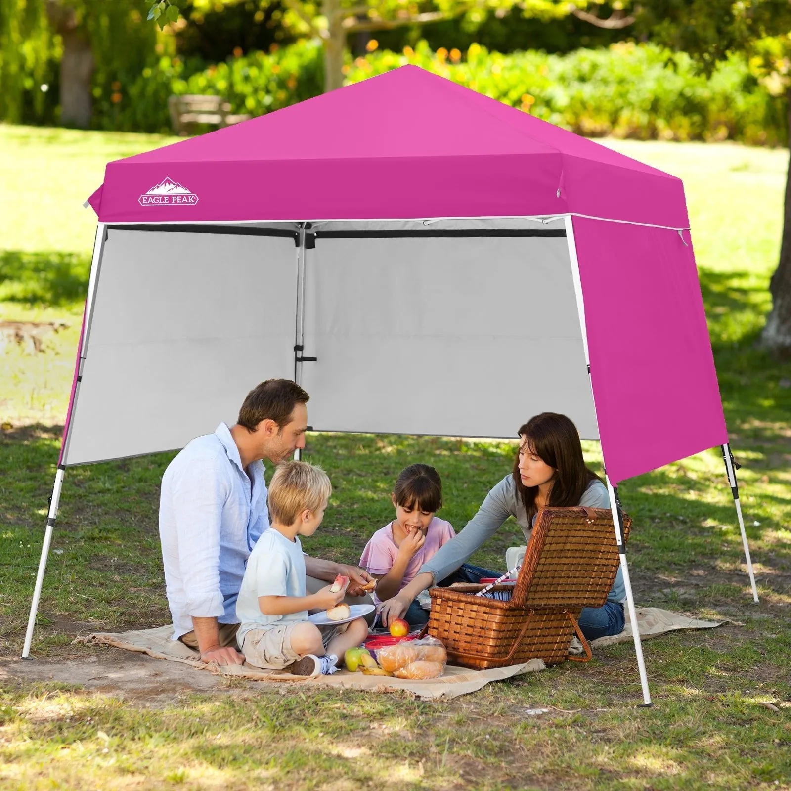 Day Tripper 8x8 Aluminum Super-Lightweight Slant Leg Pop Up Canopy with 3 Removable Walls