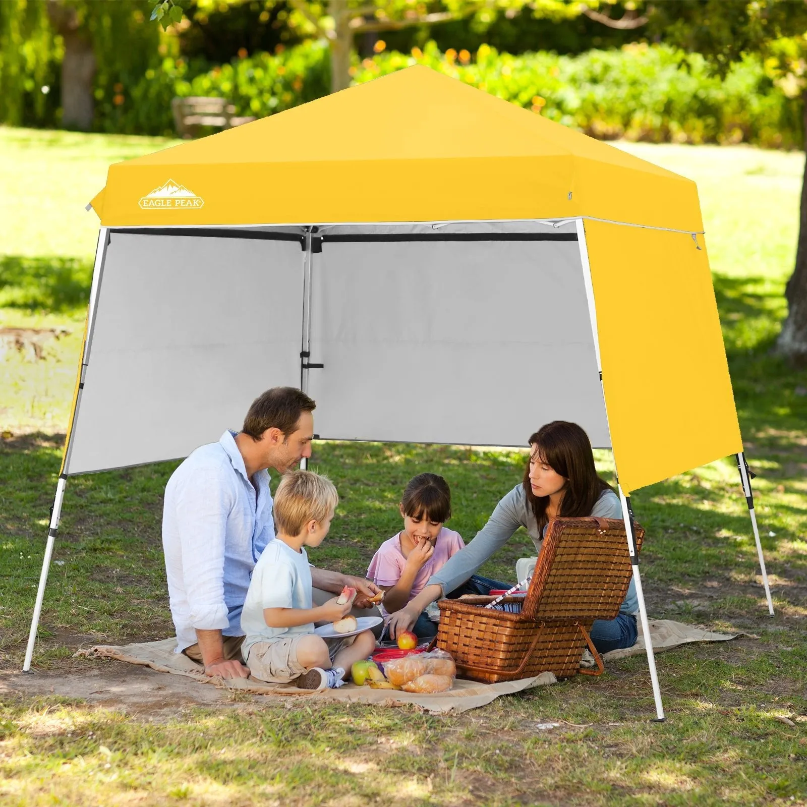 Day Tripper 8x8 Aluminum Super-Lightweight Slant Leg Pop Up Canopy with 3 Removable Walls
