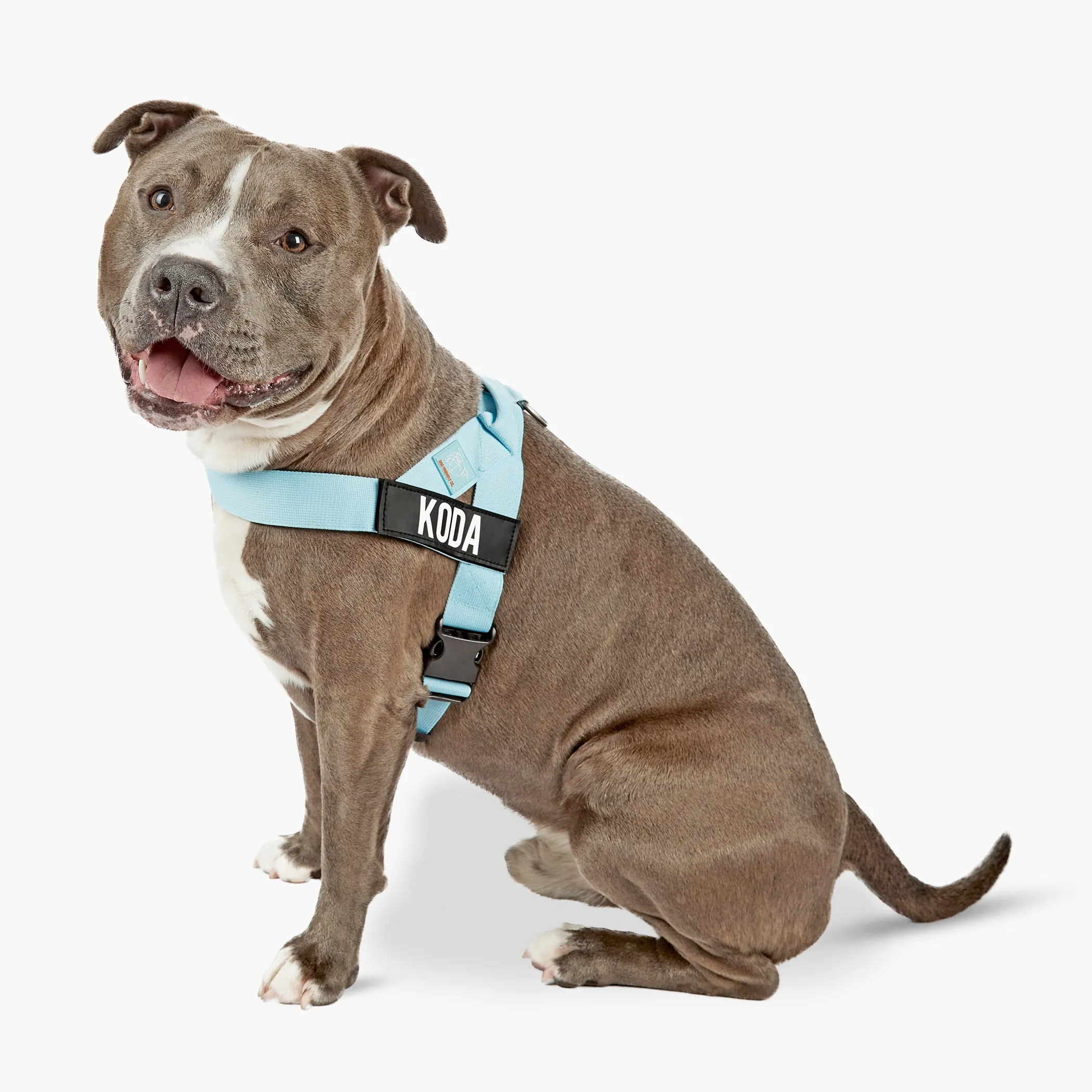 Dog Friendly Co. Dog Harness Sky Blue