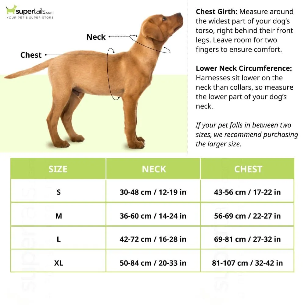 Hank 3M Reflective Harness for Puller Dogs (Black)