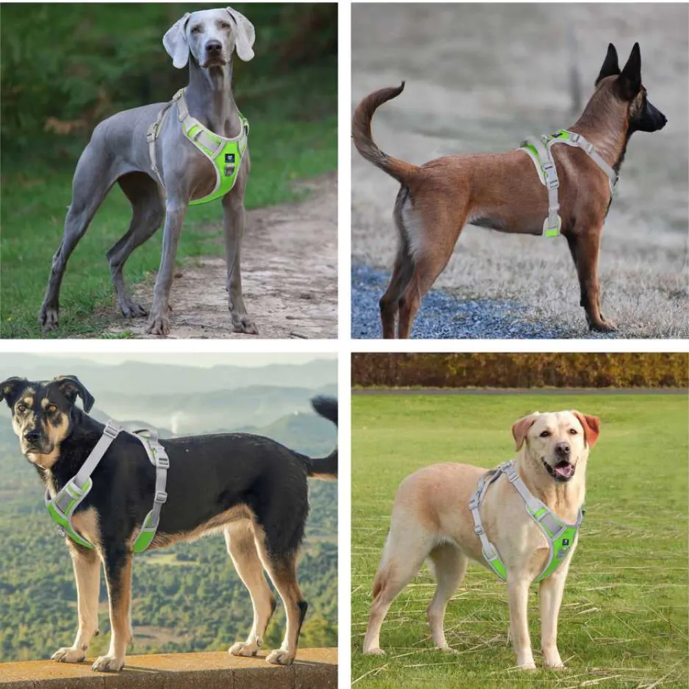 Hank 3M Reflective Harness for Puller Dogs (Grey/Neon Green)
